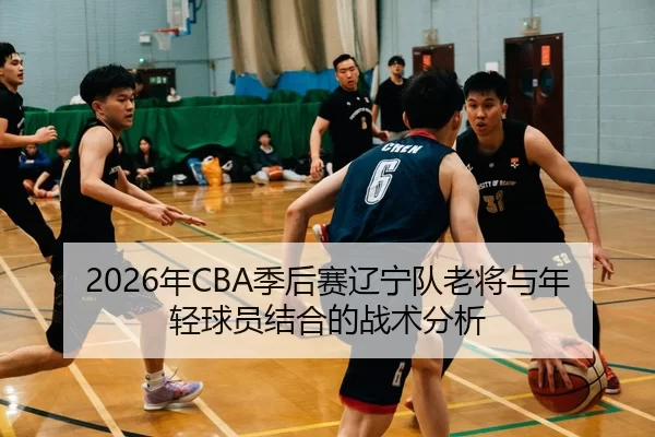2026年CBA季后赛辽宁队老将与年轻球员结合的战术分析