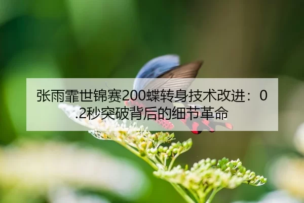 张雨霏世锦赛200蝶转身技术改进：0.2秒突破背后的细节革命