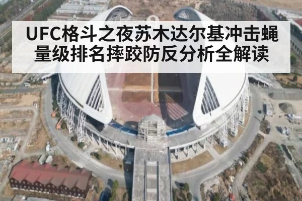 UFC格斗之夜苏木达尔基冲击蝇量级排名摔跤防反分析全解读